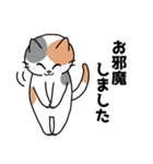 三毛猫みーなさんの敬語スタンプ（個別スタンプ：19）