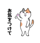 三毛猫みーなさんの敬語スタンプ（個別スタンプ：20）