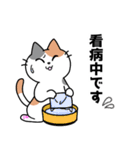 三毛猫みーなさんの敬語スタンプ（個別スタンプ：21）