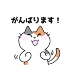 三毛猫みーなさんの敬語スタンプ（個別スタンプ：25）