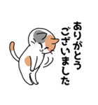 三毛猫みーなさんの敬語スタンプ（個別スタンプ：30）