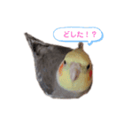 パール第1弾❤（友人用）（個別スタンプ：1）