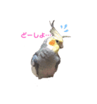 パール第1弾❤（友人用）（個別スタンプ：3）