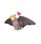 パール第1弾❤（友人用）（個別スタンプ：6）