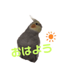 パール第1弾❤（友人用）（個別スタンプ：10）