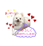 コロンときどきチロル（個別スタンプ：2）