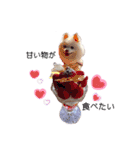 コロンときどきチロル（個別スタンプ：3）