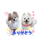 コロンときどきチロル（個別スタンプ：9）