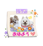 コロンときどきチロル（個別スタンプ：10）