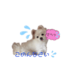 コロンときどきチロル（個別スタンプ：13）