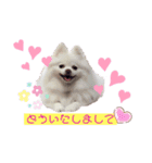 コロンときどきチロル（個別スタンプ：15）