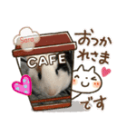 モルモさらちゃん（個別スタンプ：1）