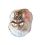 ねこw2（個別スタンプ：3）