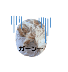 ねこw2（個別スタンプ：4）
