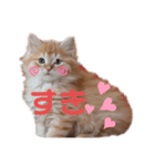 ねこw2（個別スタンプ：8）