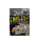 むぎのつぶやき2（個別スタンプ：2）