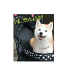 むぎのつぶやき2（個別スタンプ：4）