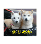むぎのつぶやき2（個別スタンプ：7）