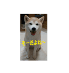 むぎのつぶやき2（個別スタンプ：8）