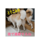 むぎのつぶやき2（個別スタンプ：10）