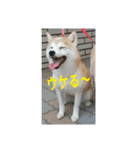 むぎのつぶやき2（個別スタンプ：11）