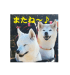 むぎのつぶやき2（個別スタンプ：15）