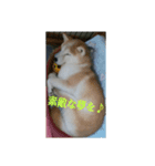 むぎのつぶやき2（個別スタンプ：16）