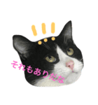 くまおのスタンプ①（個別スタンプ：6）