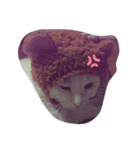 ひまちゃん大ちゃん（個別スタンプ：4）