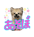 なるとのスタンプ第一弾！（個別スタンプ：4）