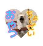 なるとのスタンプ第一弾！（個別スタンプ：8）