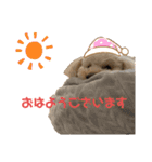 ムギ vol.3（個別スタンプ：1）
