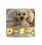 ムギ vol.3（個別スタンプ：9）
