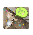 ムギ vol.3（個別スタンプ：10）