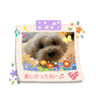 ムギ vol.3（個別スタンプ：13）