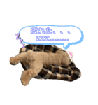 ムギ vol.3（個別スタンプ：16）