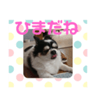 key style（個別スタンプ：3）