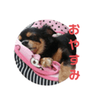 key style（個別スタンプ：7）
