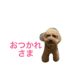 ふわふわ財閥1（個別スタンプ：1）