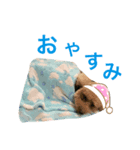 ふわふわ財閥1（個別スタンプ：4）