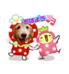 ラルちゃんの生活（個別スタンプ：1）