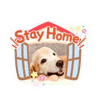 ラルちゃんの生活（個別スタンプ：5）