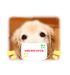 ラルちゃんの生活（個別スタンプ：10）