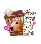 ラルちゃんの生活（個別スタンプ：14）