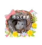 ジャンガリアンハムスターのLuckyだよ！（個別スタンプ：3）
