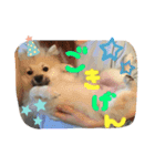 田中なると②（個別スタンプ：4）