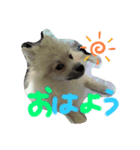 田中なると②（個別スタンプ：7）