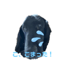 フラッティーのハルちゃん（個別スタンプ：2）