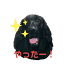 フラッティーのハルちゃん（個別スタンプ：4）
