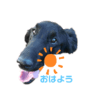 フラッティーのハルちゃん（個別スタンプ：5）